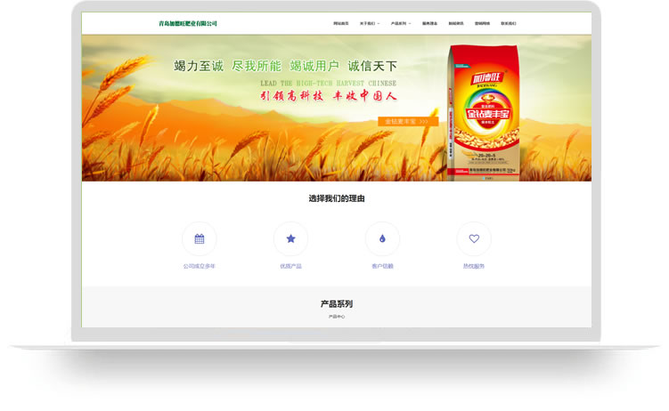 肥業(yè)公司網(wǎng)站設(shè)計PC+手機網(wǎng)站設(shè)計案例